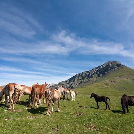 La Canonja Tremp